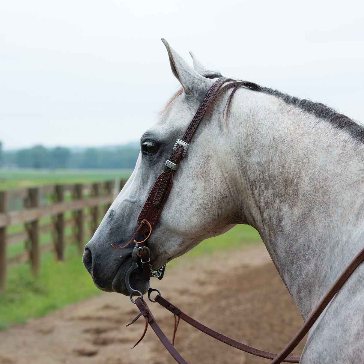 Synergy® Hand-Tooled Mayan Headstall with Designer Hardware