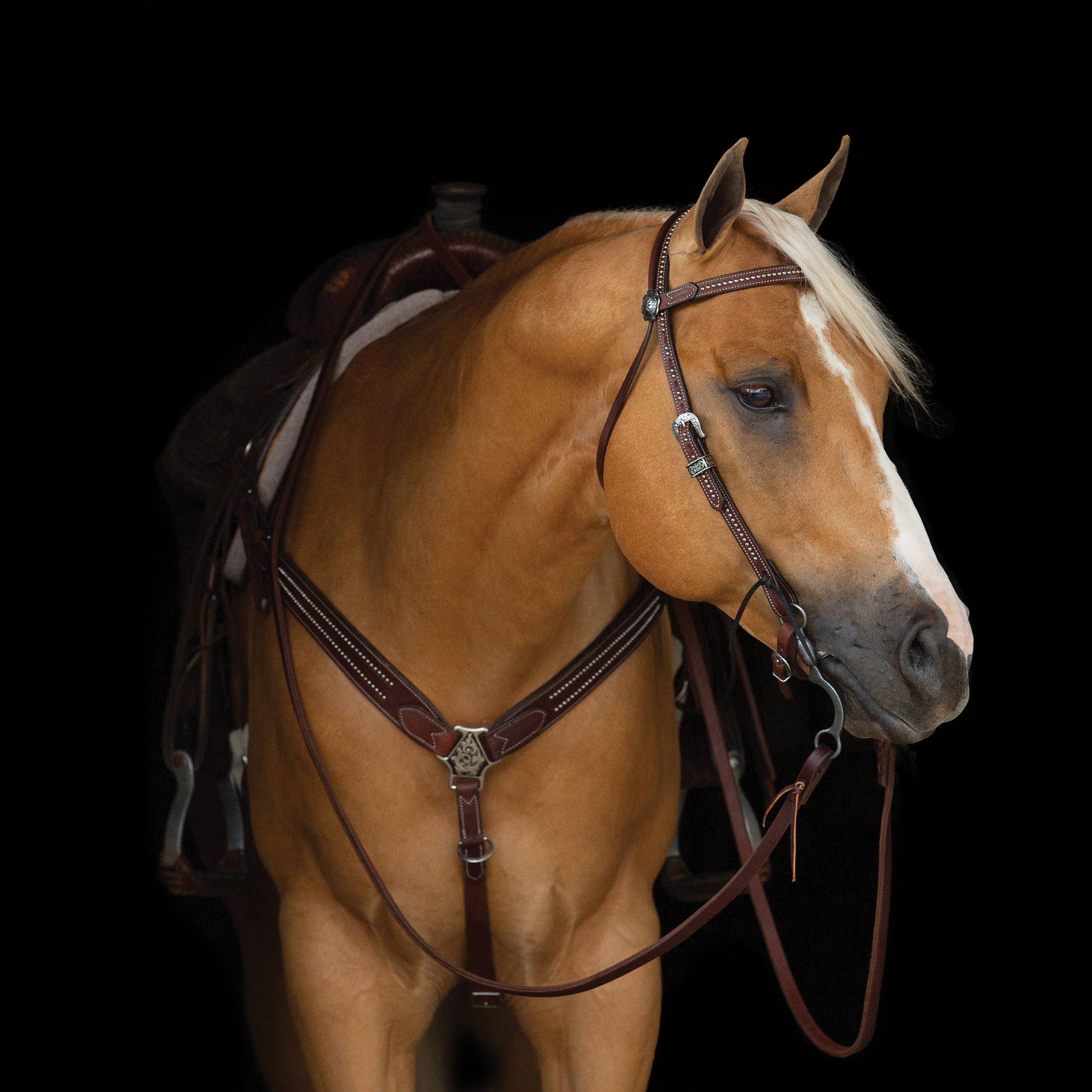 Weaver Leather Draft Horse Headstall Set