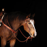 Barbed Wire Contoured Breast Collar