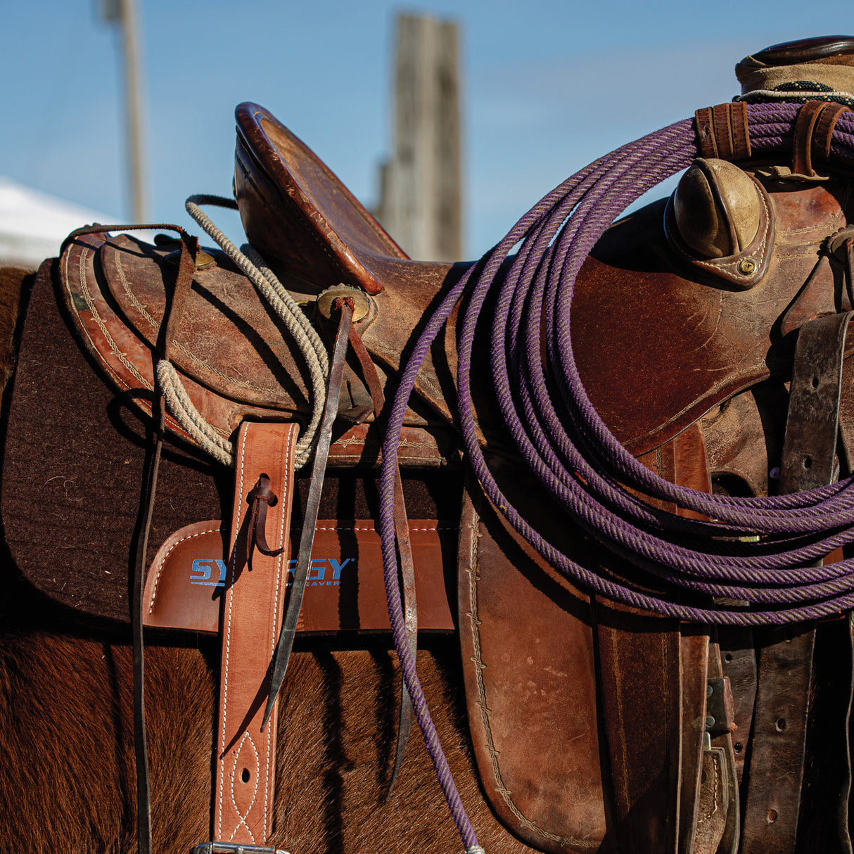 Synergy Performance Saddle Pad