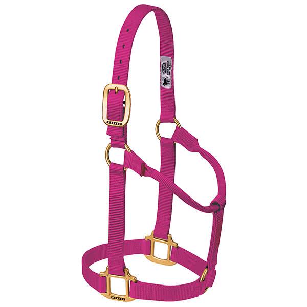 Shires Fully Adjustable Halter, Suckling, Weanling, Yearling