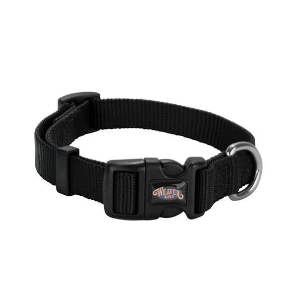 Black nylon dog collar best sale