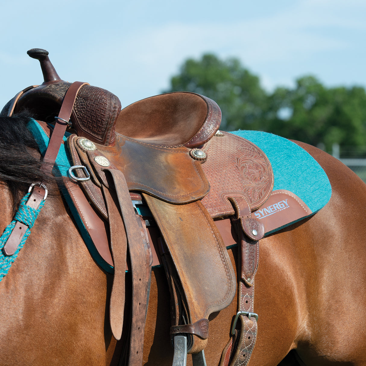 Synergy Performance Saddle Pad