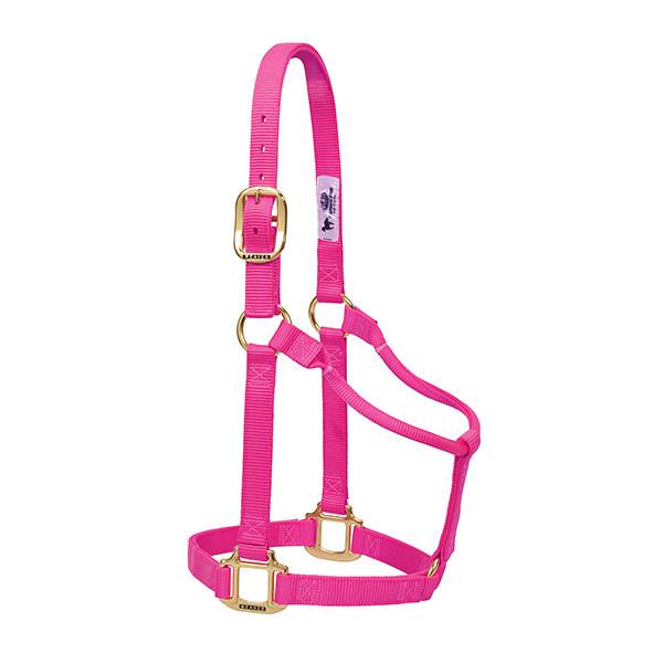 Original Non-Adjustable Halter, 3/4" Weanling/Pony