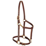 Track Halter, 3/4" Horse