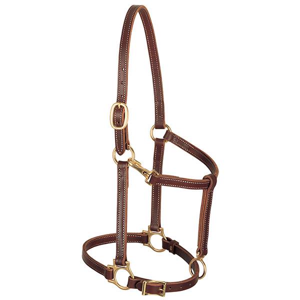 Track Halter, 3/4" Horse