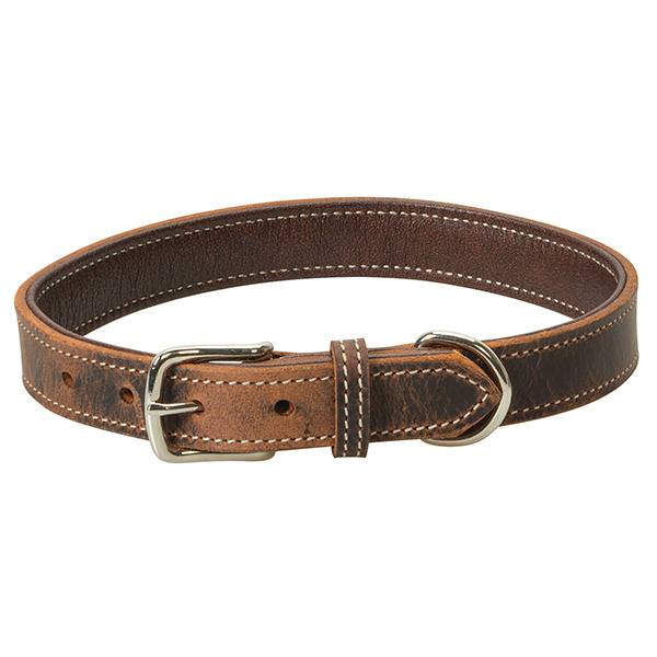 Crazy Horse Dog Collar - Weaver Leather Equine – Weaver Equine