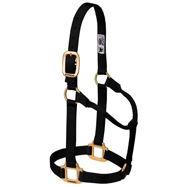 Original Non-Adjustable Halter 3/4" Weanling/Pony, Black