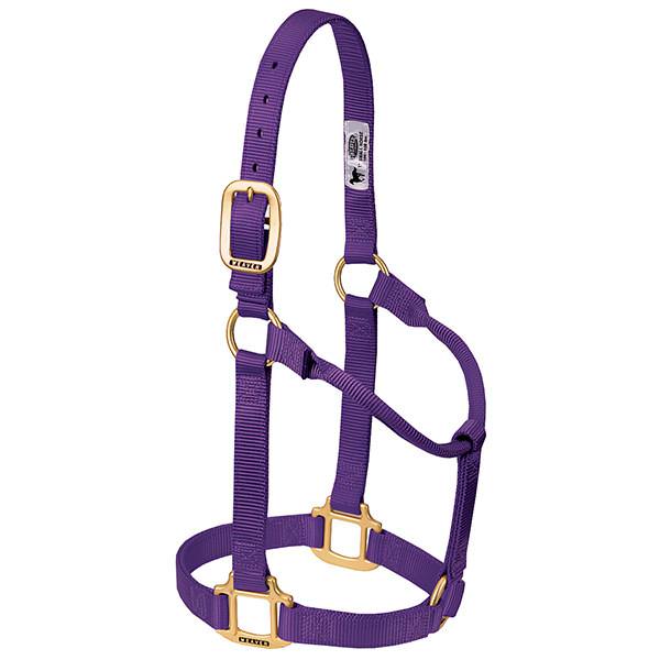 Original Non-Adjustable Halter 3/4" Weanling/Pony, Purple