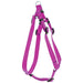 Prism Harness, Small, 5/8" x 13"-20", Raspberry