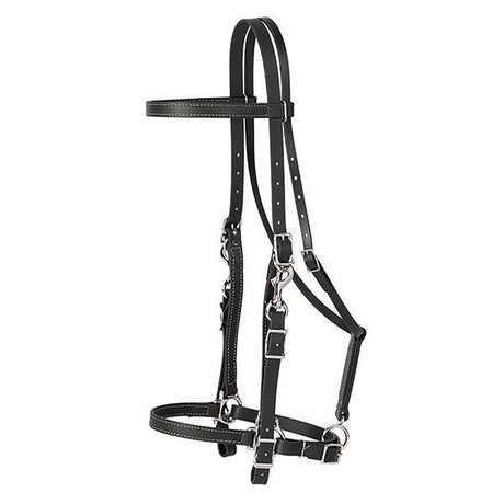 Trail Gear Halter Bridle