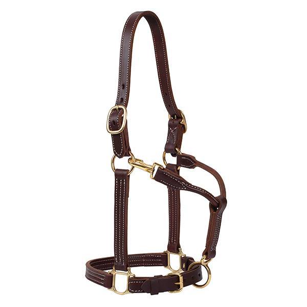 1" Track Halter, Canyon Rose, Large