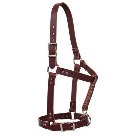Riveted Leather Halter