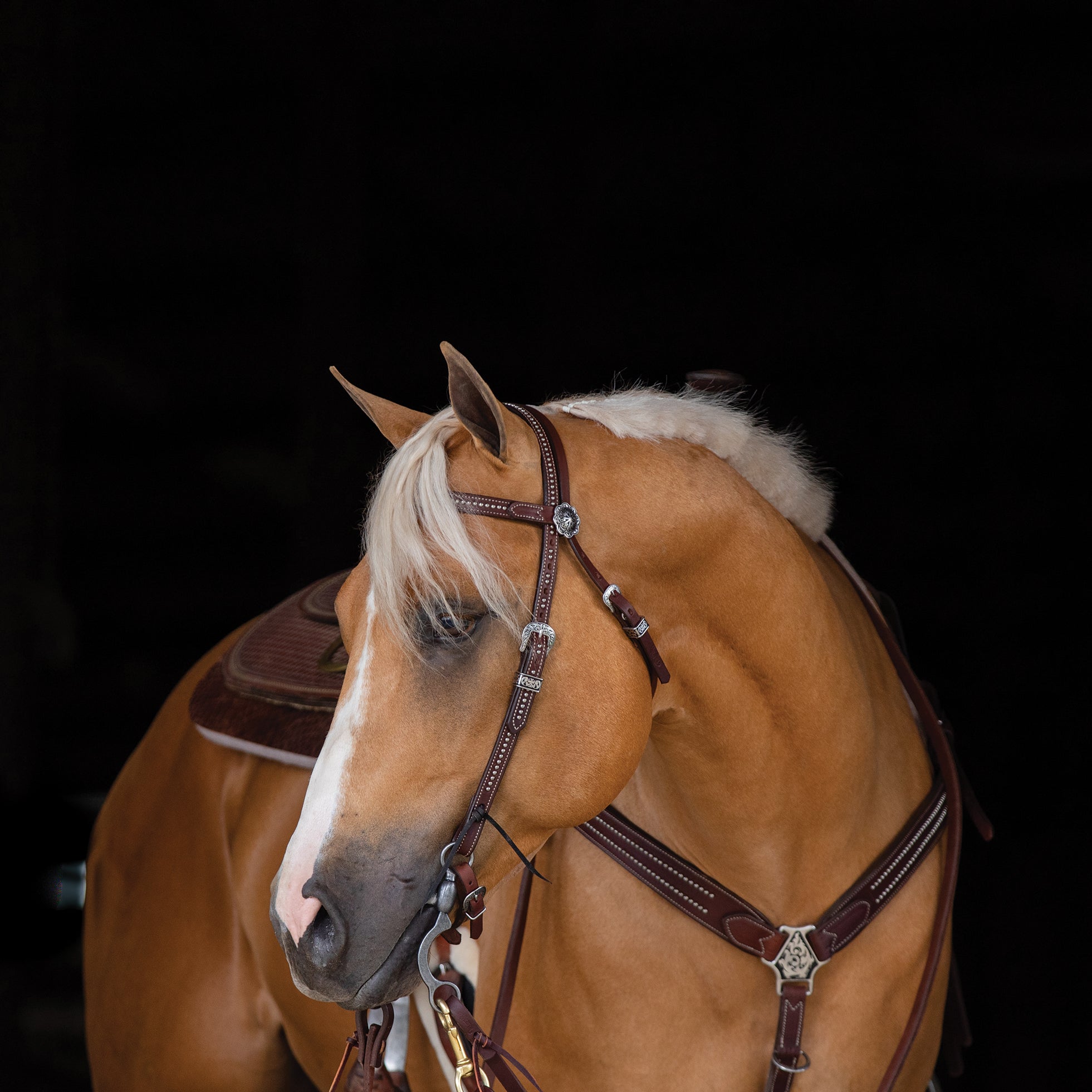 Austin Browband Headstall - Leather Weaver – Weaver Equine Equine