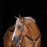 Austin Browband Headstall