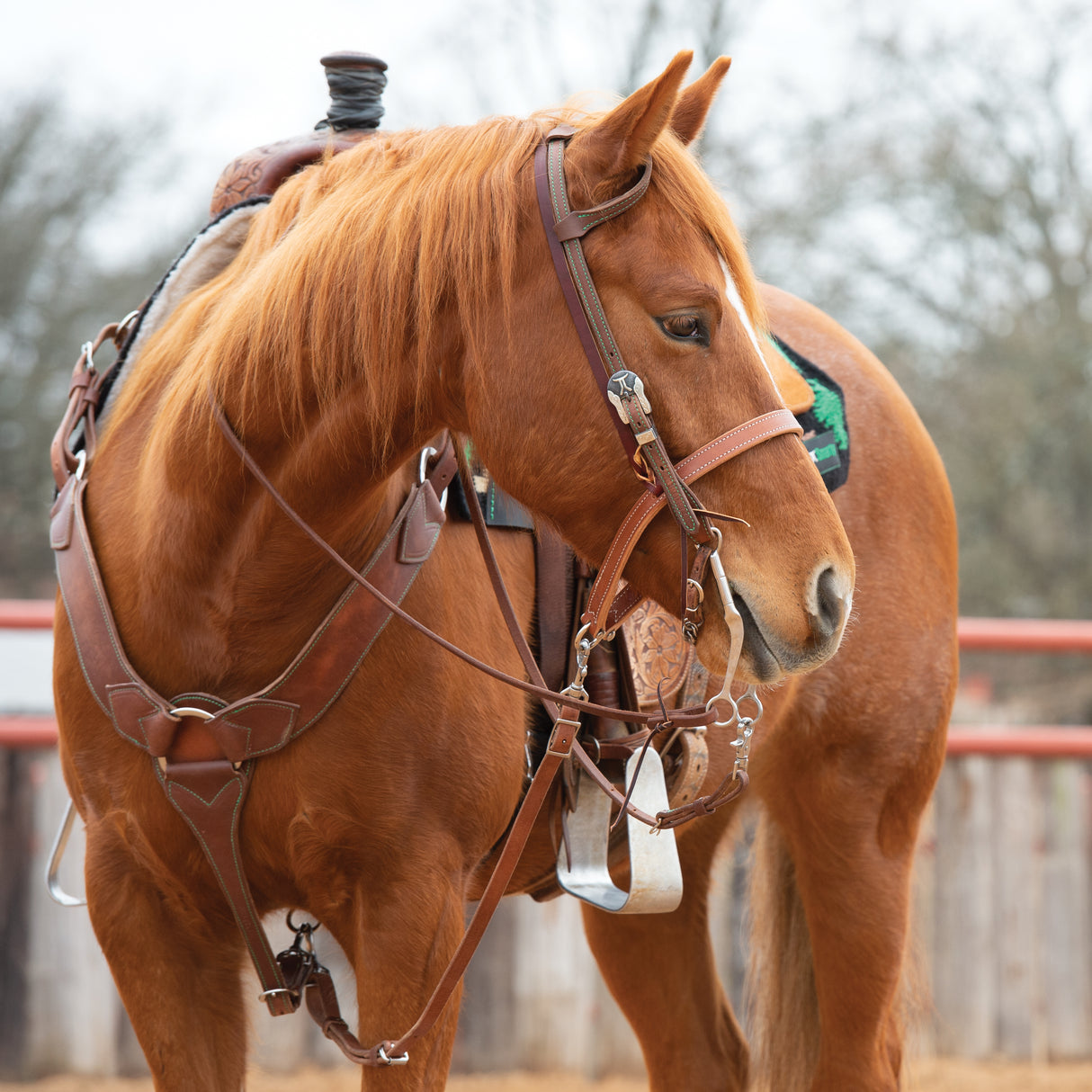 Synergy® Harness Leather Headstall with Designer Hardware