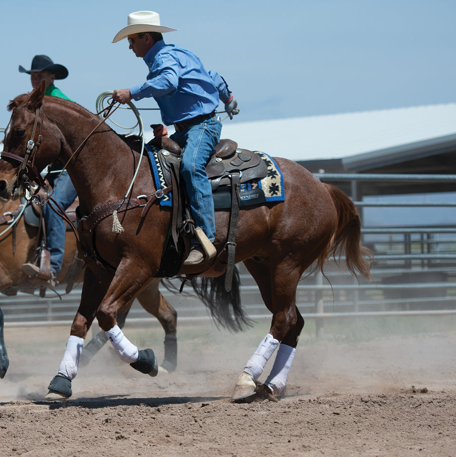 Synergy® Flex Contoured Performance Saddle Pad - Weaver Leather Equine –  Weaver Equine
