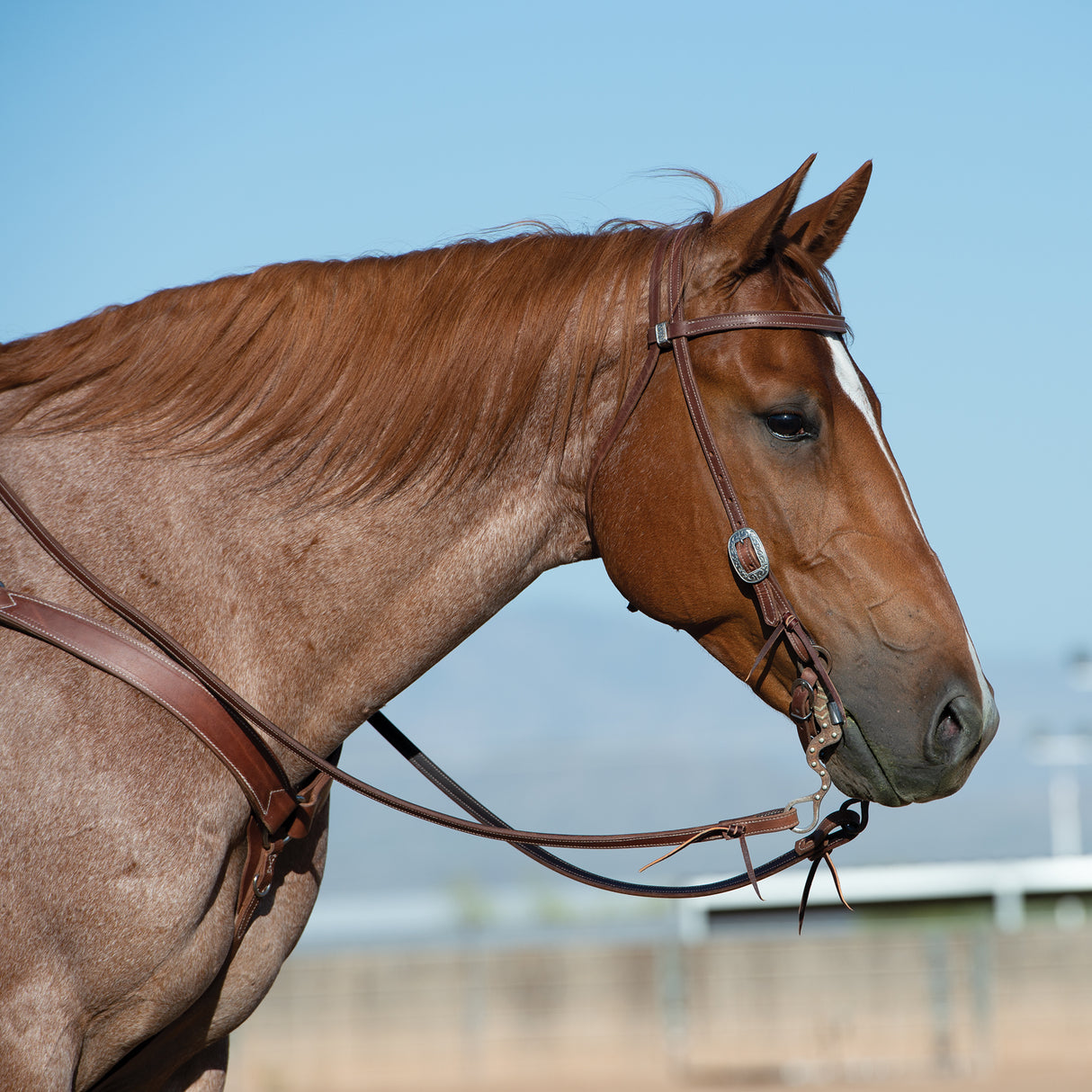 Synergy® Latigo Leather Lined Headstall with Floral Designer Hardware