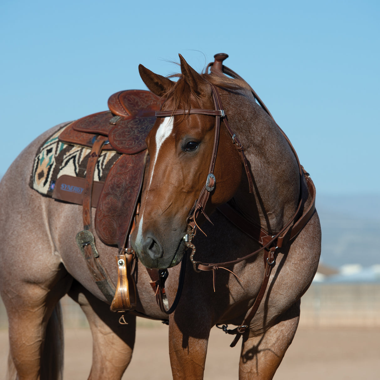 Synergy® Latigo Leather Lined Headstall with Floral Designer Hardware