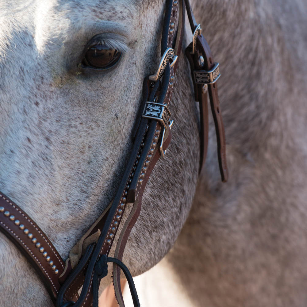 Austin Browband Headstall