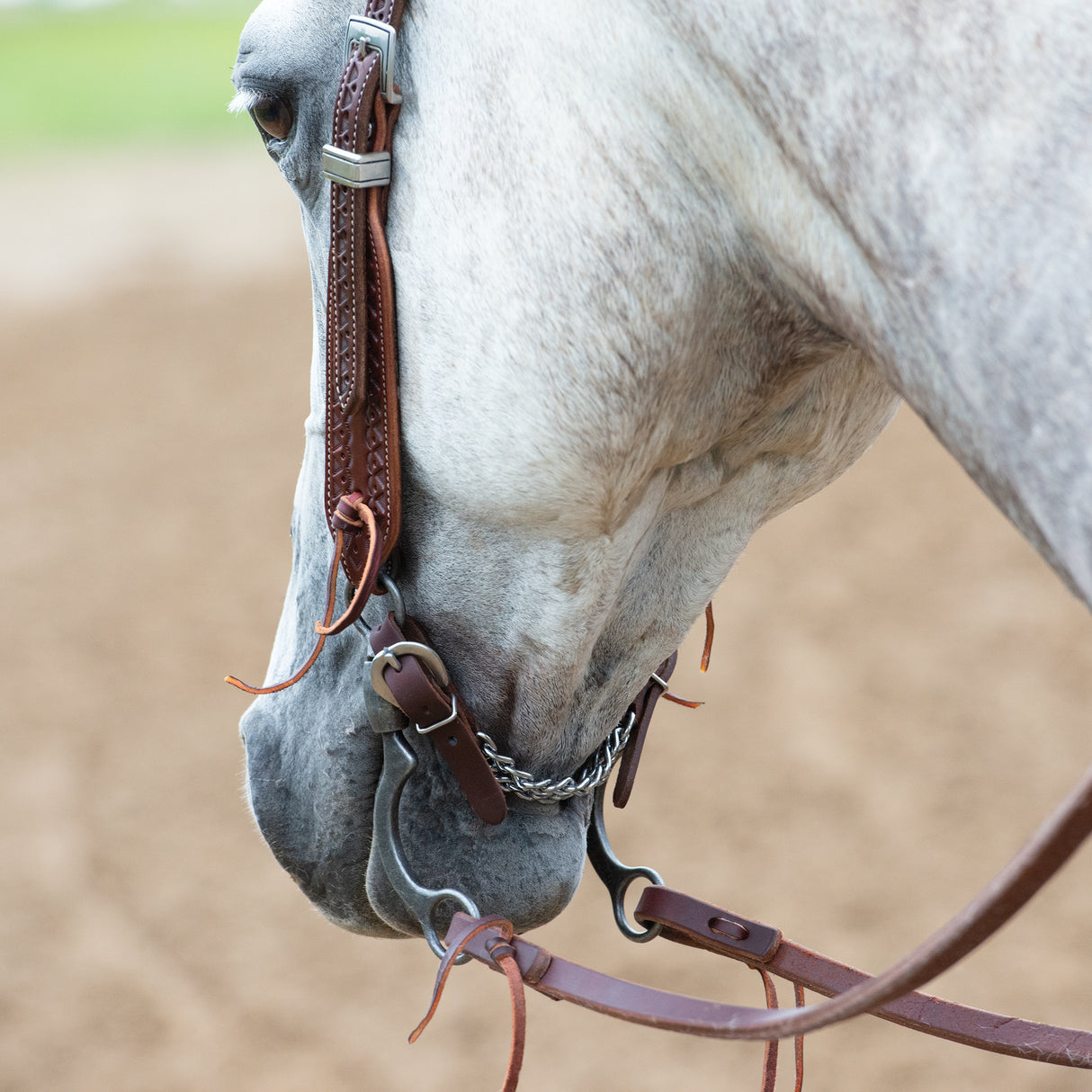 Synergy® Hand-Tooled Mayan Headstall with Designer Hardware