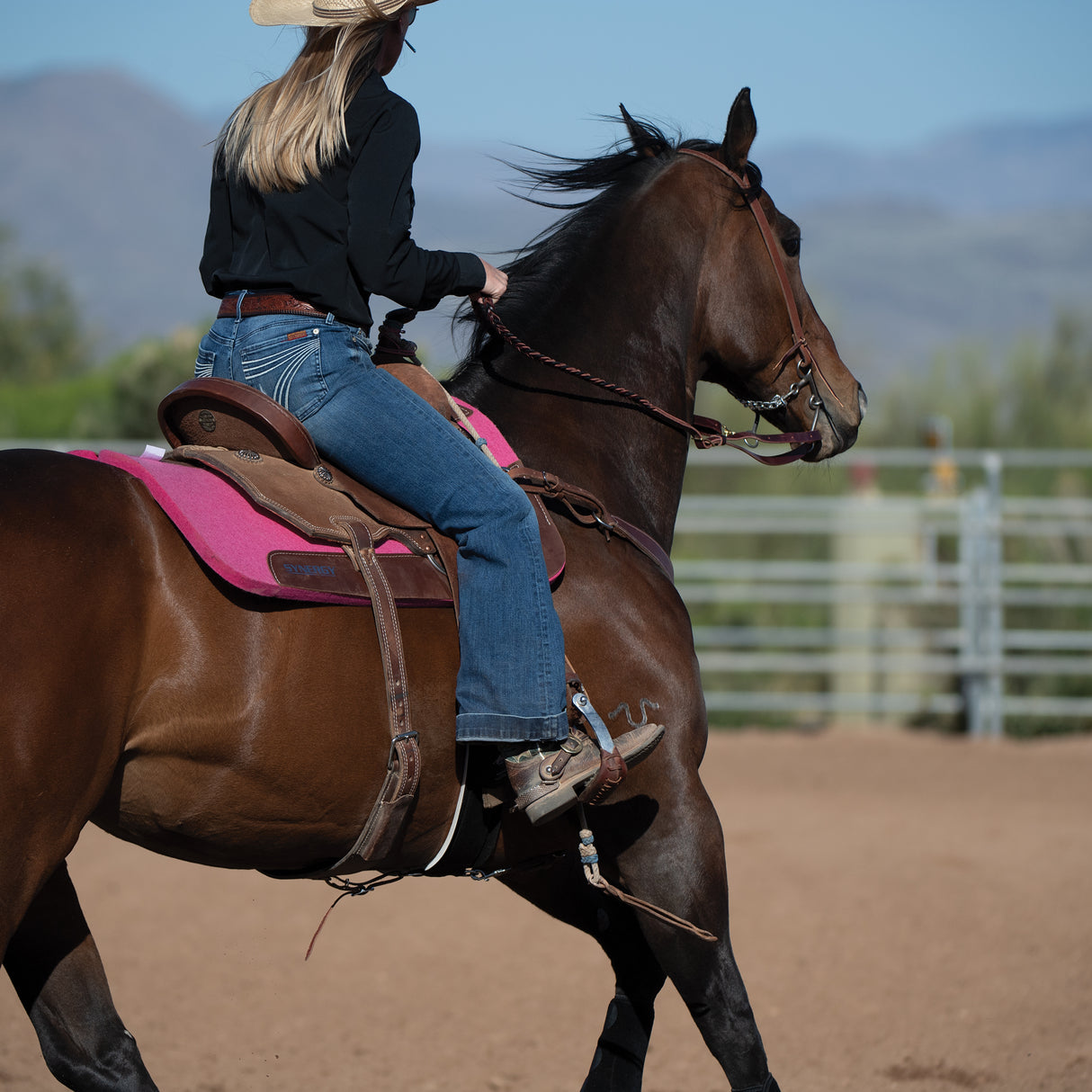 Synergy Performance Saddle Pad